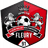 FC Fleury 91
