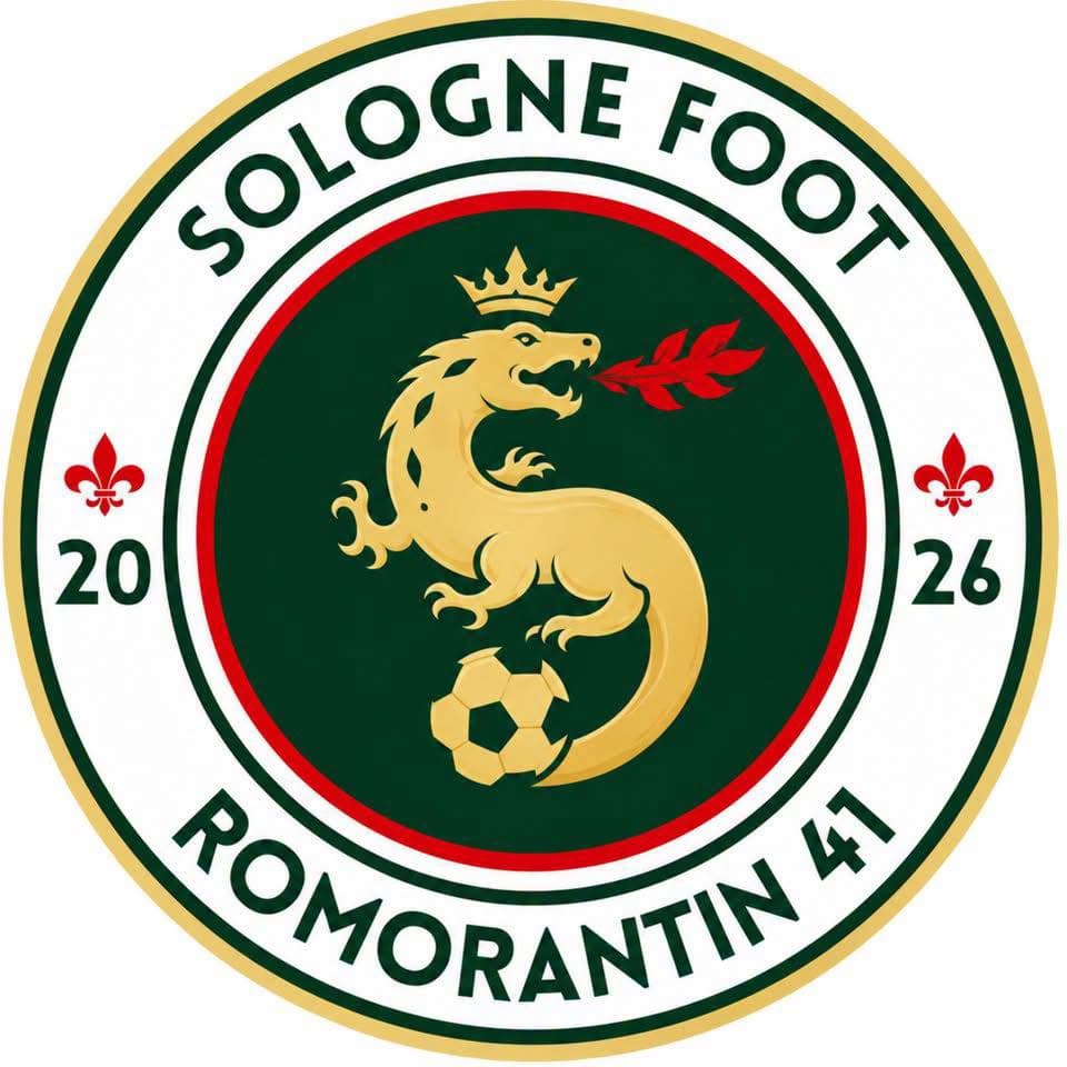 Logo SO Romorantin