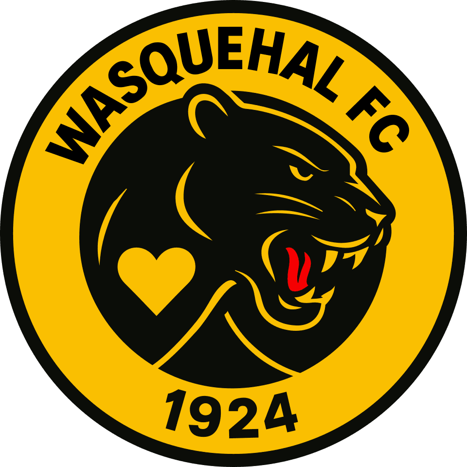 Logo Wasquehal Football